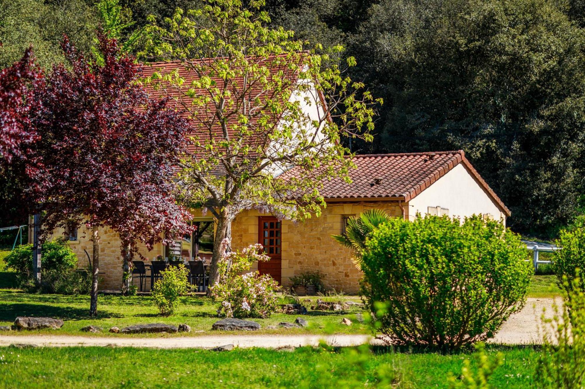 Bed and Breakfast Domaine De Campagnac - Spa & Sauna Carsac-Aillac Exterior foto